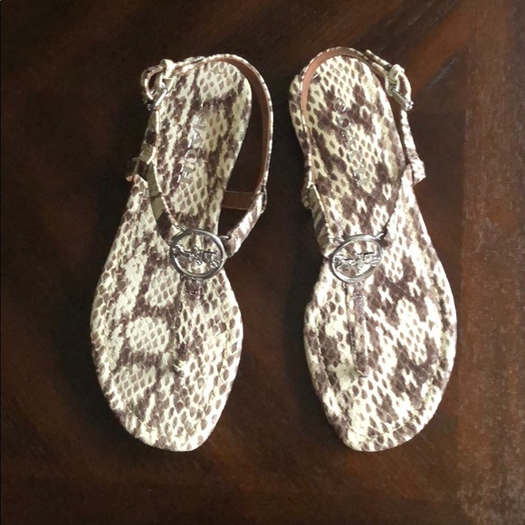 🌟COACH Thong Sandal🌟 - Picture 2 of 9